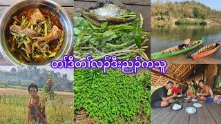 Fish and vegetables curry တၢ်ဒီတၢ်လၣ်ဒီးညၣ်ကသူ