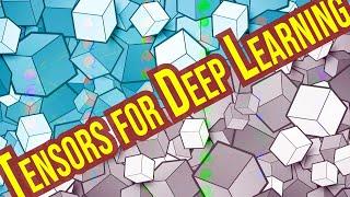 Rank, Axes, and Shape Explained - Tensors for Deep Learning