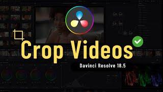 How to Crop Video in Davinci Resolve 18.5 