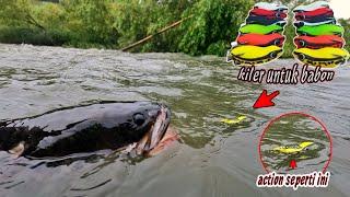 NGERii ‼️ SAMBARANYA DENGAN UMPAN SOFT FROG KILER || MANCING CASTING IKAN GABUS BABON DI TAIWAN