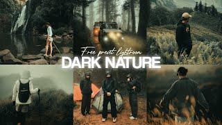 FREE LIGHTROOM PRESET | DARK NATURE