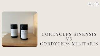 Cordyceps Sinensis vs Cordyceps Militaris