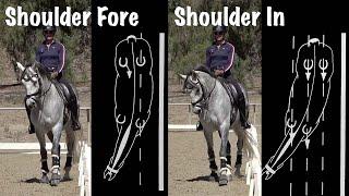 Shoulder-In vs. Shoulder-Fore