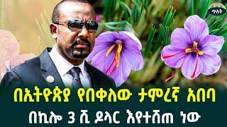 በኪሎ ሶስት ሺ ዶላር የሚሸጠውበኢትዮጵያ የተገኘው አበባ