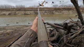 I Found the Mother Load of Mallards On the River! Such a Unique Hunt! (MUST SEE)