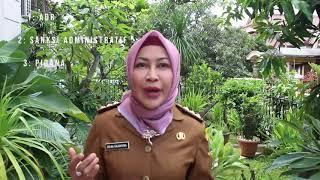 Video Profil Erlina Dalisaputra - PNS Provinsi Jawa Barat