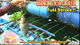 DIJAMIN PULANG BAWA IKAN! PEMANCING TENGAH HARUS COBA RACIKAN UMPAN INI || Mancing Cirata terbaru