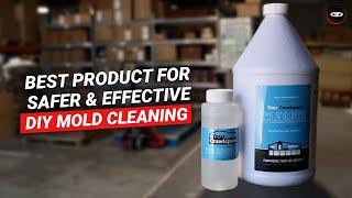 DIY Mold Cleaning | Best Safe & Effective DIY Mold Remover