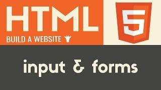 Input & Forms | HTML | Tutorial 14