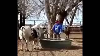 TRY TO NOT LAUGH | Funny Video  | Viral Funny Video | Bizz Time | Media Funny Clips