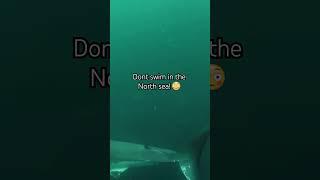 The North Sea Is Scary  Pt 4