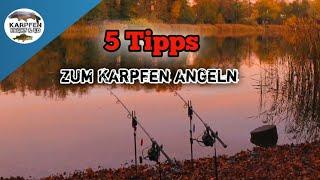 5 Tipps zum Karpfen angeln für Anfänger - Karpfenangeln November