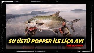 BALIK AVI. Su Üstü Popper LİÇA Avı. Fujin Salt Popper Güzel Çalıştı [4K] #balık #lrf #lichia #atçek