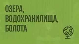 Озера, водохранилища, болота. Видеоурок по географии 8 класс