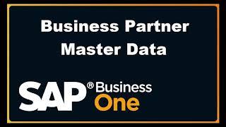 Business Partner Master Data - SAP B1 9.3