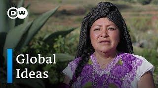 Mexico: Sustainable tourism | Global Ideas