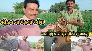 હાલો આ સીઝનના માંડવી ના ઓરા ખાવા | સુરભી ને તબિયત ના લીધે દસમા ધોરણમાં અભ્યાસ નથી થતો પણ શું કરીએ