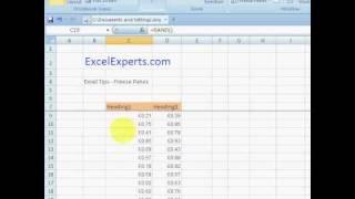 ExcelExperts.com - Excel Tips -Freeze Panes