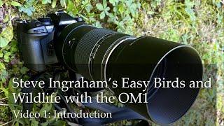 Steve Ingraham’s Easy Birds and Wildlife with the OM Systems OM-1: Introduction