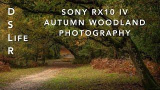 Autumn Woodland Photography composition and tips with Sony RX10 iv