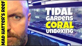 Tidal Gardens Coral Unboxing