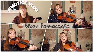 Biber Passacaglia Practice Vlog No. 1 | Starting the Piece