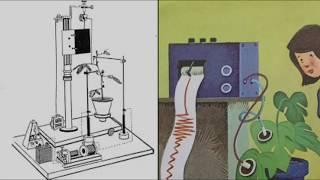 J C Bose - response phenomena in plants