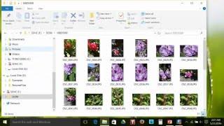 File Explorer: Working with Files & Folders