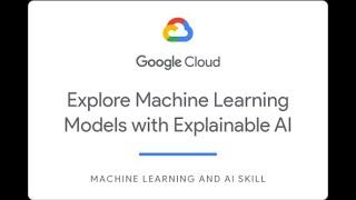 Explore Machine Learning Models with Explainable AI Challenge Lab