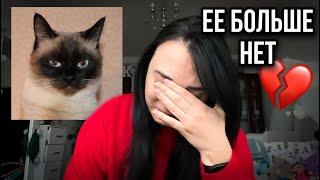 Евы больше нет...