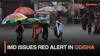 IMD issues red alert in Odisha | DD India