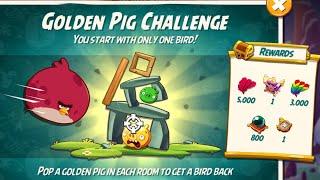 Angry birds 2 the golden pig challenge with Terence 2nd Jan 2024 #ab2 the golden pig challenge today