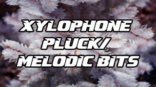 Tutorial #47 | Xylophone Pluck/Melodic Bits