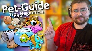 Tutorial | Pet Guide for beginners | Shakes & Fidget