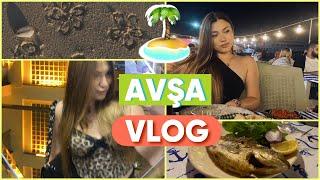 Avşa Tatili ️ | Avşa’yı vlogladım | İlk vlog 