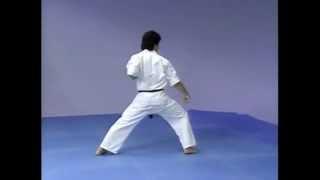 Каратэ Киокушинкай: Ката - Гекисай Дай | Kyokushin Karate: Kata - Gekisai Dai