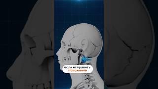 Почему болит шея?