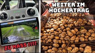 Totalausfall im Mais ? | Es geht weiter in den Kartoffeln | Farmvlog #135