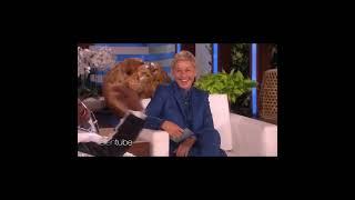 Lil Nas x on The Ellen show #shorts #theellenshow #lilnasx #ellen