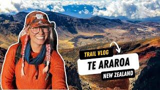 Round the Mountain Track | New Zealand's Te Araroa Episode 25