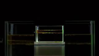 2 Damn, that's interesting! Visual demonstration of water density #shorts