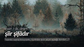 şiir şifâdır | en sevilenler (1 saat dinleti)