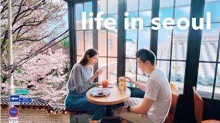 korea vlog  spring in 'traditional seoul' old neighborhoods, cherry blossoms, sights & cafes