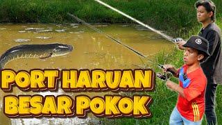 Ajoi Bawak Zukie Mancing Port Haruan !!!