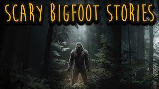 Terrifying BIGFOOT Stories That Will Give You Chills | Sasquatch Encounters, Deep Woods, Forest