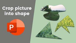 how to crop a picture to a custom shape in Microsoft PowerPoint