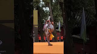 A 9-year-old girl from Henan won the title of "The World Shaolin Kung Fu Star".