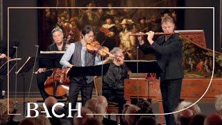 Bach - Brandenburg Concerto no. 5 in D major BWV 1050 - Sato | Netherlands Bach Society