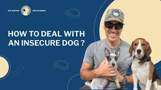 How to Deal with an Insecure Dog? | The Beacon Dog Academy