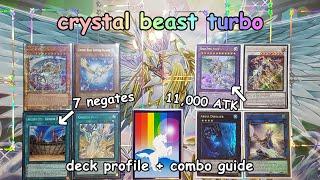 How to win with Crystal Beasts like a pro - Rainbow Dragon turbo 2024